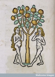 L0029215 Adam and Eve under the Tree of life, woodcut 1547