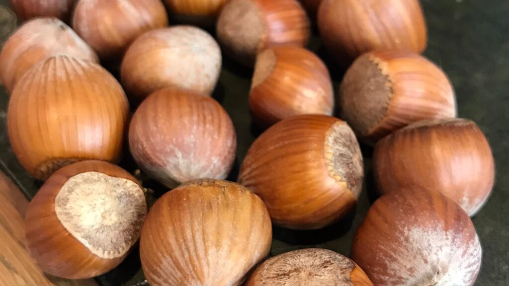 Hazelnuts on a desk with a green leather top