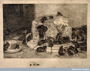 I doubt these mice felt the same nervousness about sin - Wellcome Library, London.
