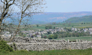 The Derbyshire Damsel